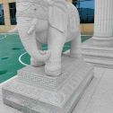 昭通 白麻花岗岩动物异形石雕-大象