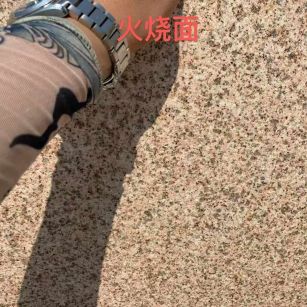 昭通黄金麻火烧面