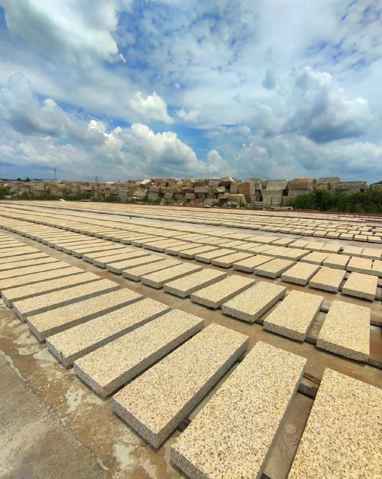 昭通 黄金麻花岗岩荔枝面地铺石防护中